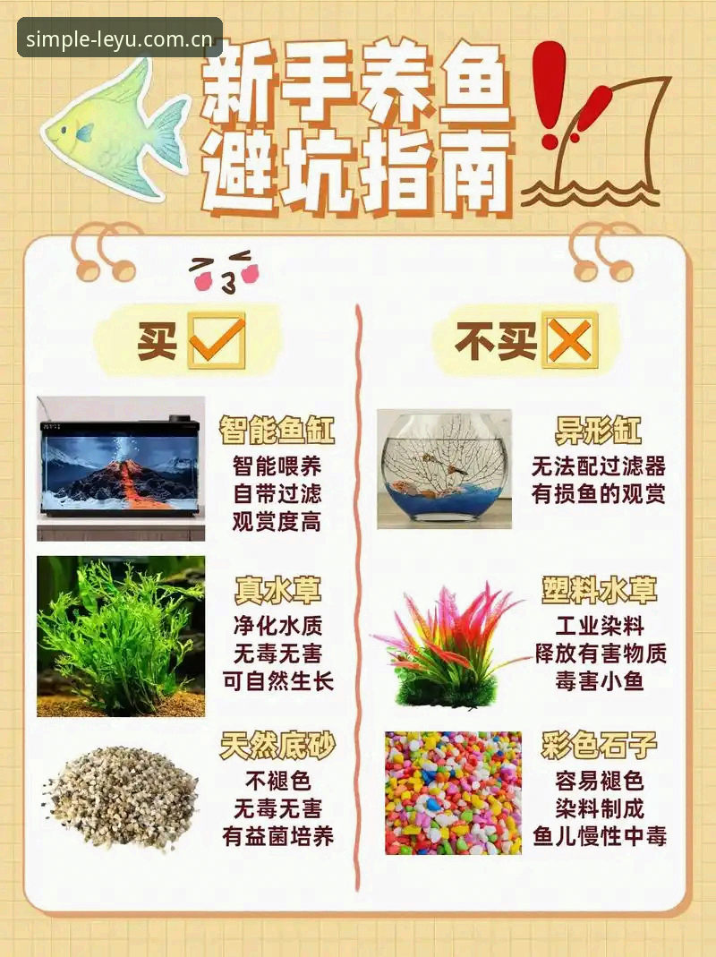 搞定乐鱼官网入口的5个硬核避坑指南，少走弯路多看球